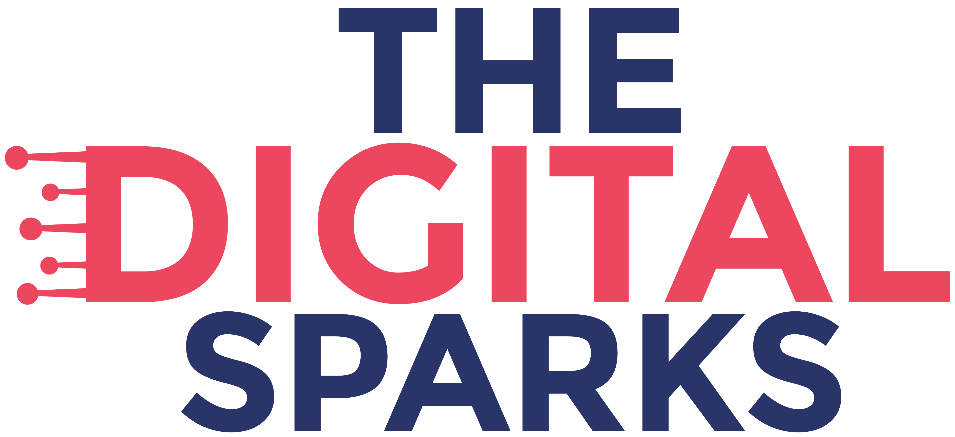 The Digital Sparks footer logo
